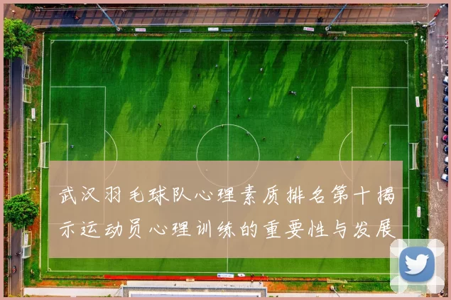 武汉羽毛球队心理素质排名第十揭示运动员心理训练的重要性与发展潜力