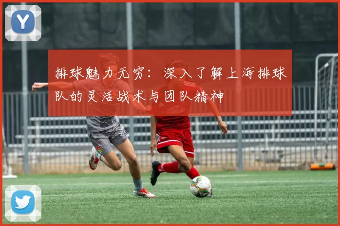 排球魅力无穷：深入了解上海排球队的灵活战术与团队精神