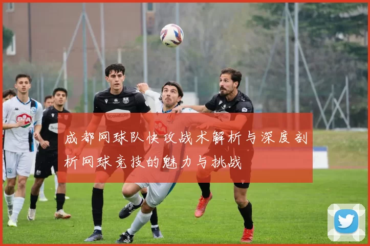 成都网球队快攻战术解析与深度剖析网球竞技的魅力与挑战