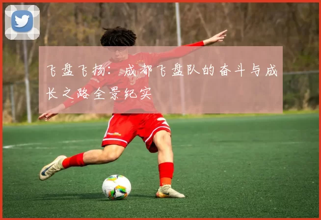 飞盘飞扬：成都飞盘队的奋斗与成长之路全景纪实