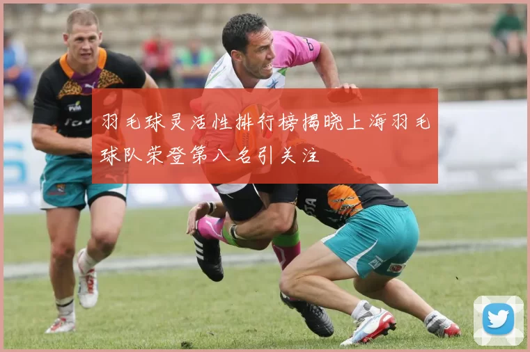 羽毛球灵活性排行榜揭晓上海羽毛球队荣登第八名引关注
