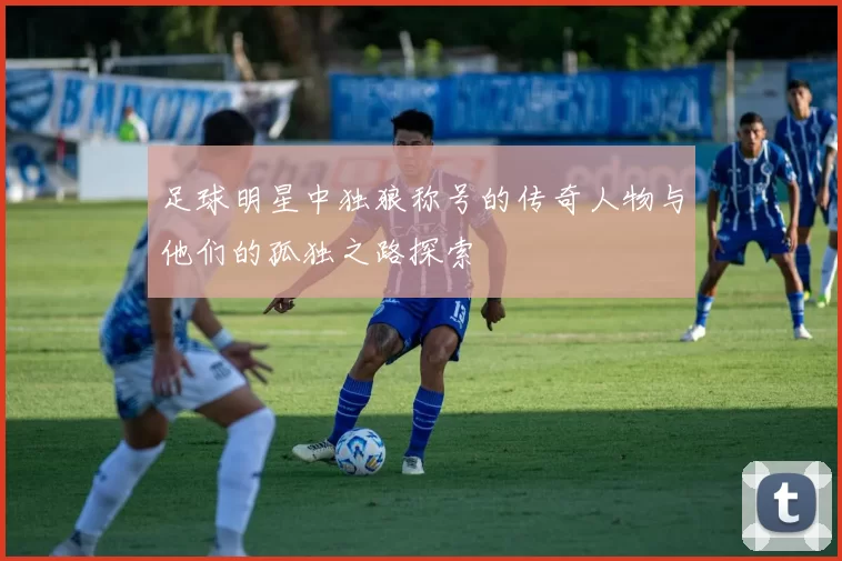 足球明星中独狼称号的传奇人物与他们的孤独之路探索