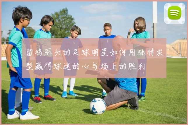 留鸡冠头的足球明星如何用独特发型赢得球迷的心与场上的胜利