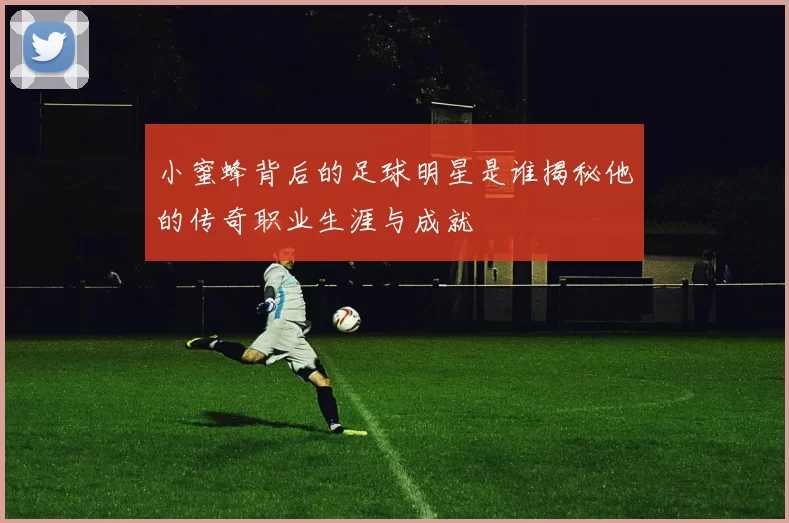 小蜜蜂背后的足球明星是谁揭秘他的传奇职业生涯与成就