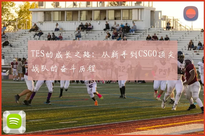 TES的成长之路：从新手到CSGO顶尖战队的奋斗历程