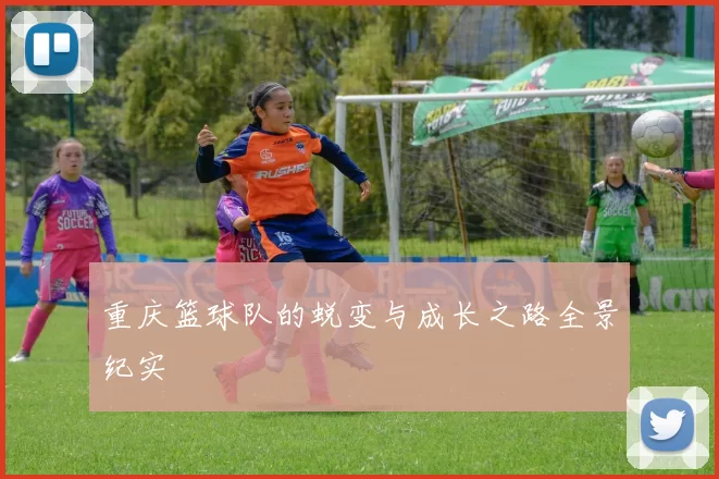 重庆篮球队的蜕变与成长之路全景纪实