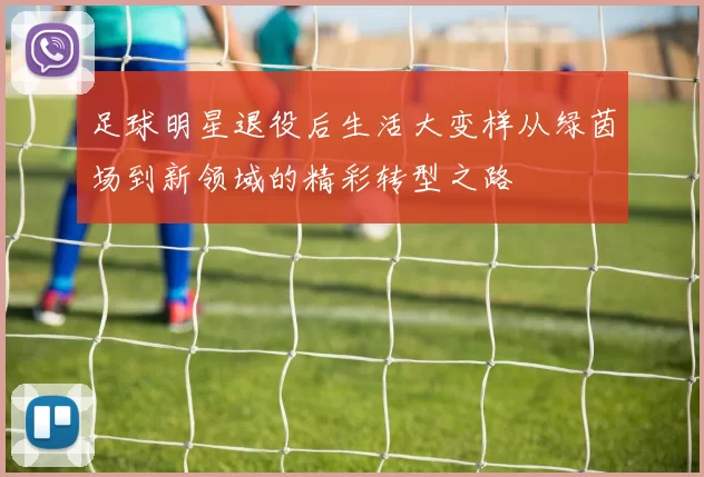 足球明星退役后生活大变样从绿茵场到新领域的精彩转型之路