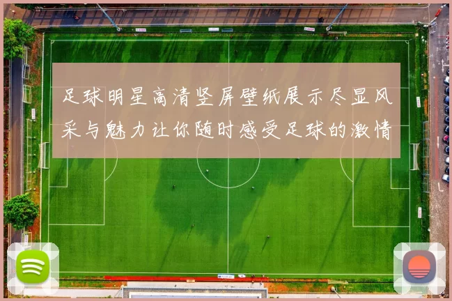 足球明星高清竖屏壁纸展示尽显风采与魅力让你随时感受足球的激情与魅力