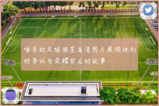 唾弃的足球明星高清图片展现他们的争议与荣耀背后的故事
