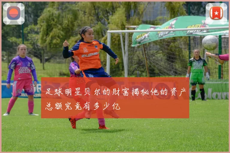 足球明星贝尔的财富揭秘他的资产总额究竟有多少亿
