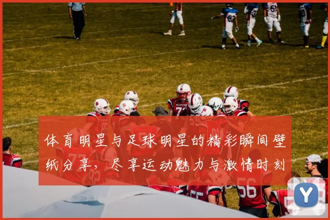 体育明星与足球明星的精彩瞬间壁纸分享，尽享运动魅力与激情时刻