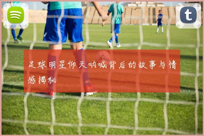 足球明星仰天呐喊背后的故事与情感揭秘
