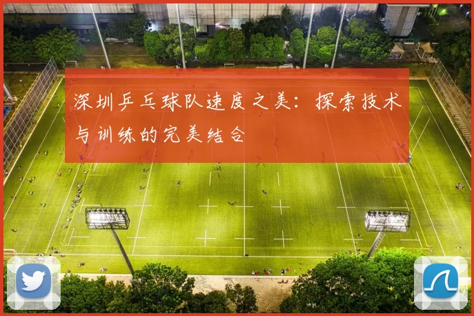 深圳乒乓球队速度之美：探索技术与训练的完美结合
