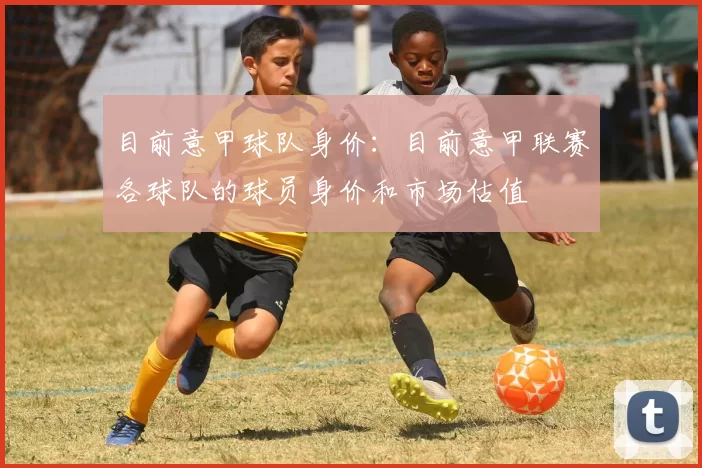 目前意甲球队身价：目前意甲联赛各球队的球员身价和市场估值