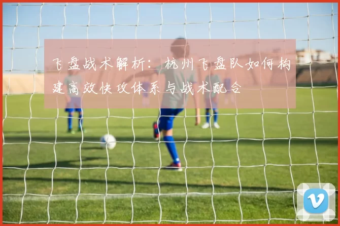 飞盘战术解析：杭州飞盘队如何构建高效快攻体系与战术配合