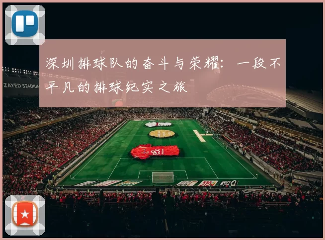 深圳排球队的奋斗与荣耀：一段不平凡的排球纪实之旅