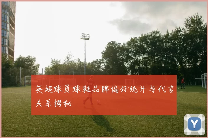 英超球员球鞋品牌偏好统计与代言关系揭秘