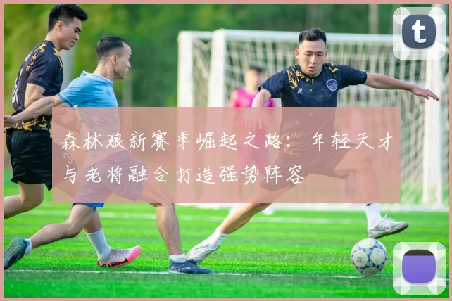 森林狼新赛季崛起之路：年轻天才与老将融合打造强势阵容