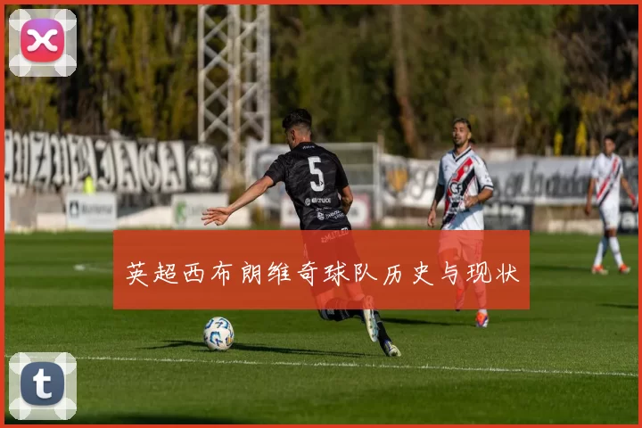 英超西布朗维奇球队历史与现状