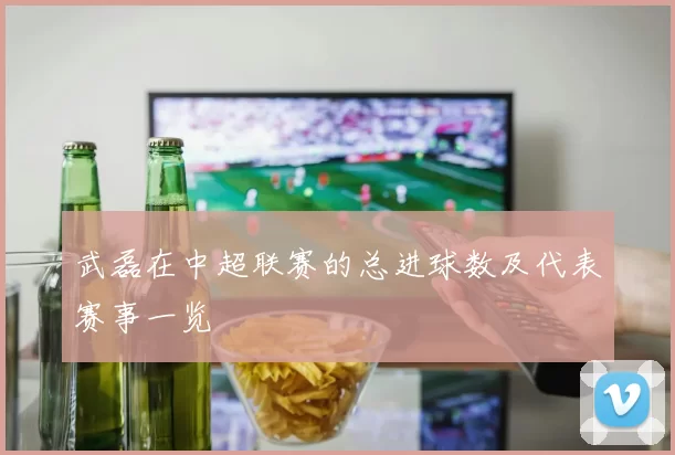 武磊在中超联赛的总进球数及代表赛事一览