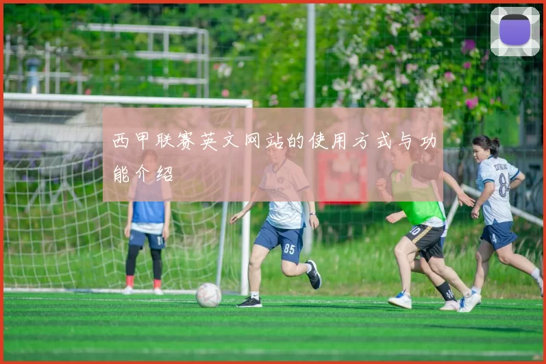 西甲联赛英文网站的使用方式与功能介绍