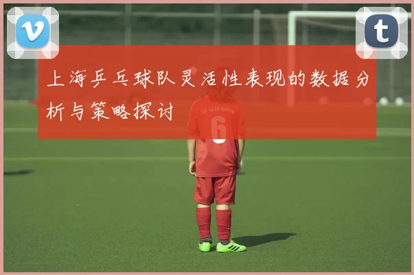 上海乒乓球队灵活性表现的数据分析与策略探讨