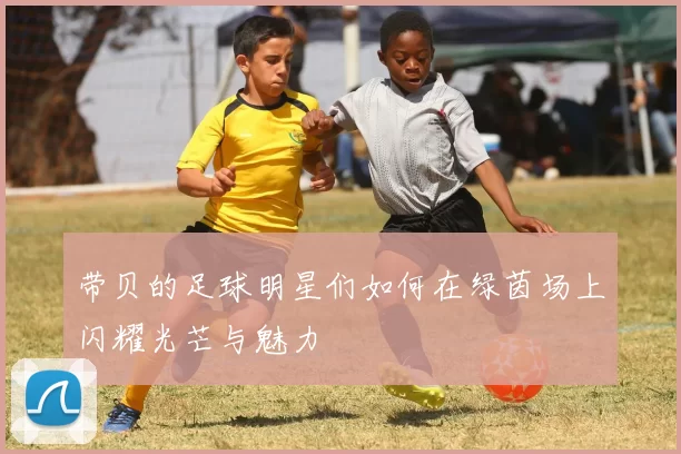 带贝的足球明星们如何在绿茵场上闪耀光芒与魅力