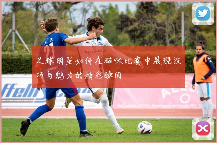 足球明星如何在猫咪比赛中展现技巧与魅力的精彩瞬间