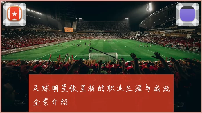 足球明星张呈栋的职业生涯与成就全景介绍