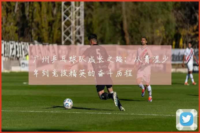 广州乒乓球队成长之路：从青涩少年到竞技精英的奋斗历程