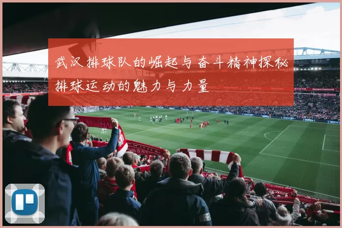 武汉排球队的崛起与奋斗精神探秘排球运动的魅力与力量