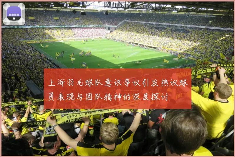 上海羽毛球队意识争议引发热议球员表现与团队精神的深度探讨