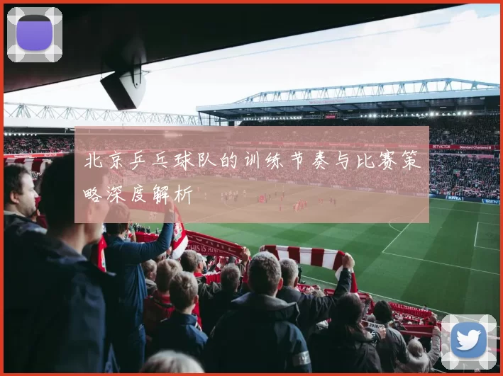 北京乒乓球队的训练节奏与比赛策略深度解析