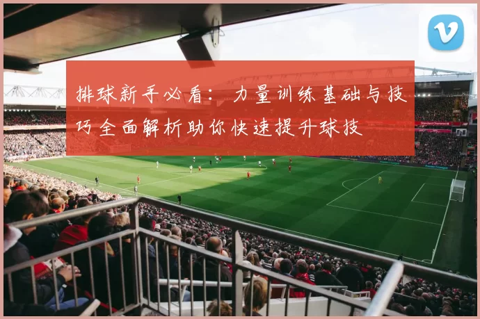 排球新手必看：力量训练基础与技巧全面解析助你快速提升球技