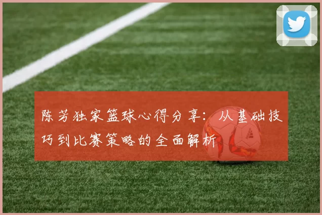 陈芳独家篮球心得分享：从基础技巧到比赛策略的全面解析