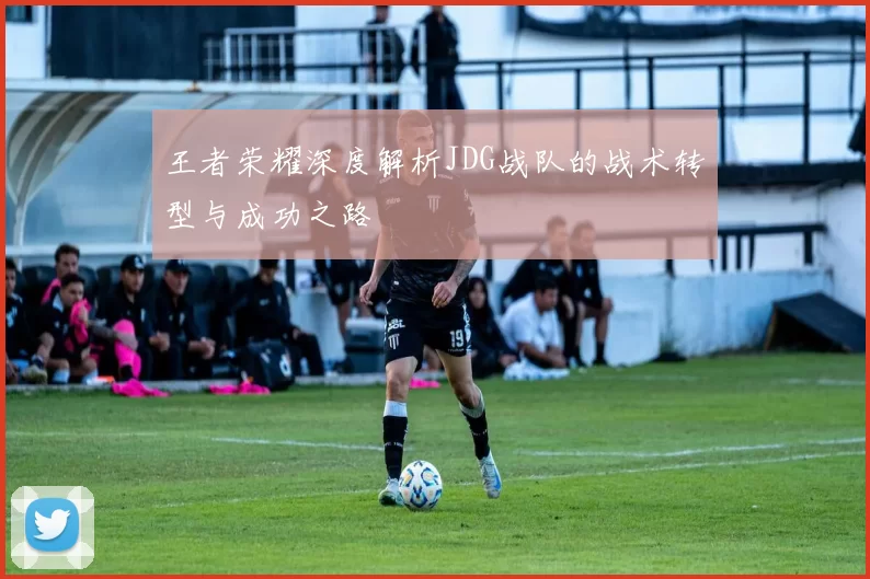王者荣耀深度解析JDG战队的战术转型与成功之路