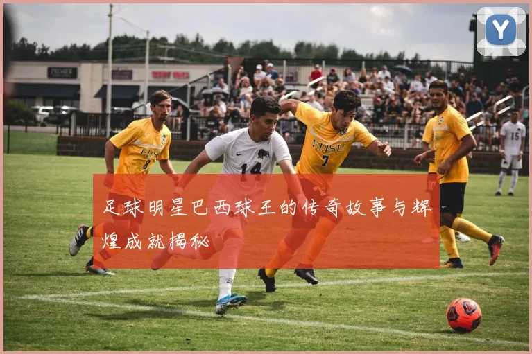 足球明星巴西球王的传奇故事与辉煌成就揭秘