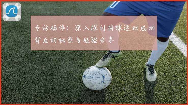 专访杨伟：深入探讨排球运动成功背后的秘密与经验分享