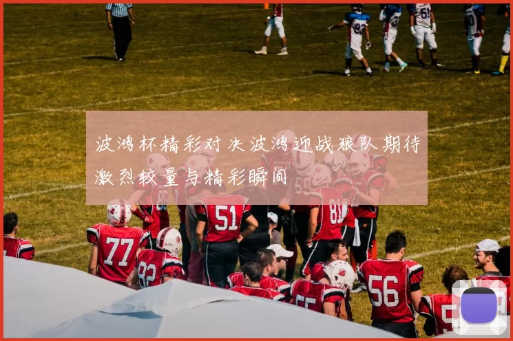 波鸿杯精彩对决波鸿迎战狼队期待激烈较量与精彩瞬间
