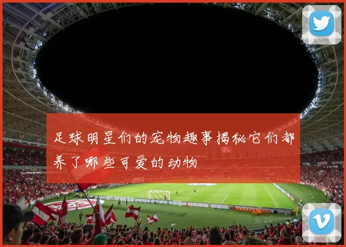 足球明星们的宠物趣事揭秘它们都养了哪些可爱的动物