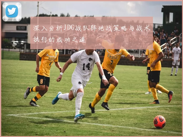 深入分析JDG战队阵地战策略与战术执行的成功之道
