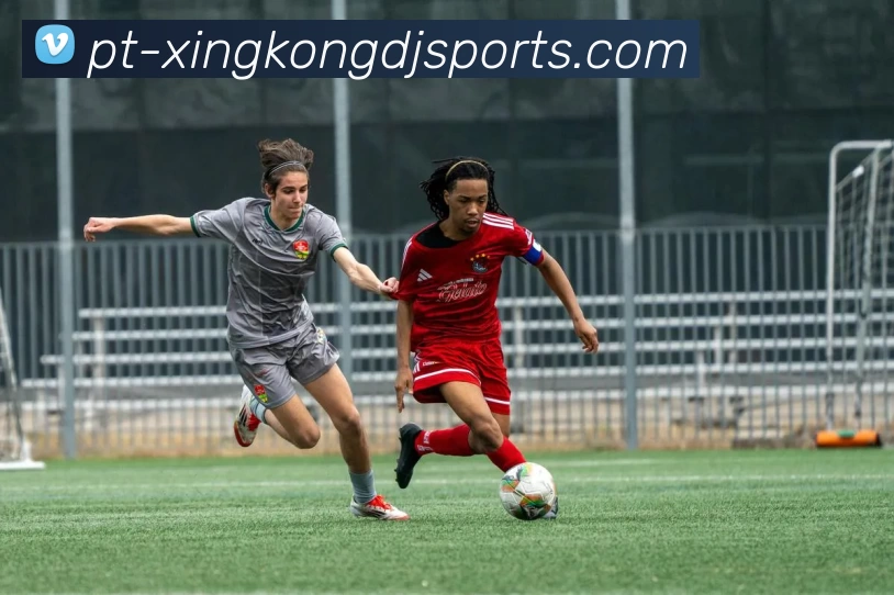 星空体育发展历程